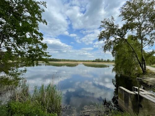 Tongkama działania warsztatowe w Luboradowie