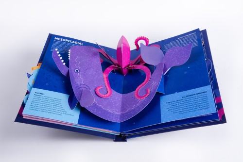 Jagoda Mądrzak _Design 32