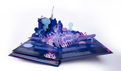 Jagoda Mądrzak _Design 32