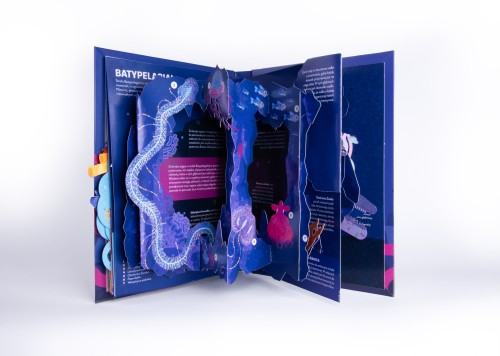 Jagoda Mądrzak _Design 32