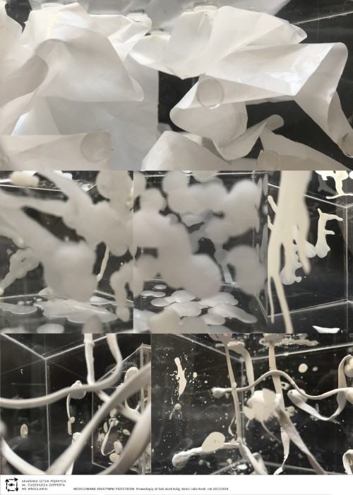 Julia Rosik, Rodzina 3D, zdj. Julia Rosik