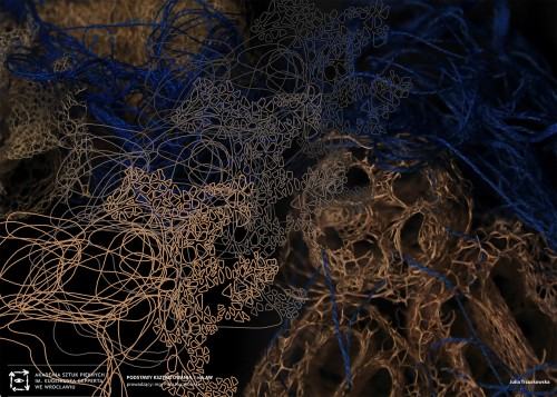 Julia Trzuskowska, Włóknistość