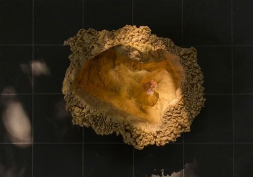 Katarzyna Bogusz-Entasis Katarzyna Bogusz-Entasis