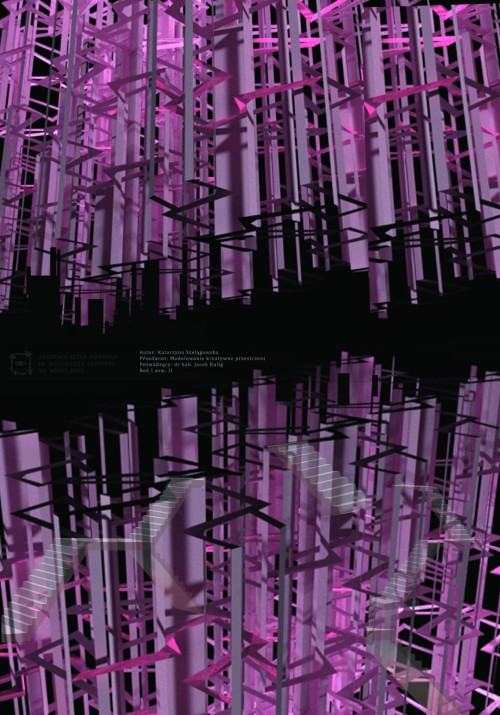 Katarzyna Szelągowska, od 2D do 3D, zdj. Katarzyna Jakubiak