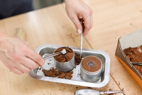 DFN_Deft clay_zdj. K. Kouzmitcheva