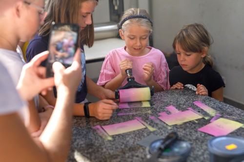 DFN_Grafika_zdj. K. Kouzmitcheva