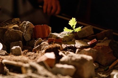 Noc Muzeów_performance Uczta