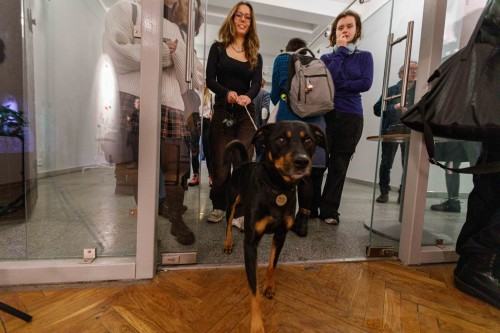 Inna Historia_wernisaż