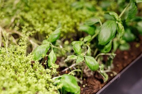 Inna historia_wernisaż