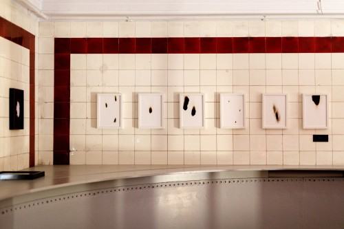 Koncert Frise Lumière i wystawa † A  M  B  I  E  N  T † Łukasz Paluch