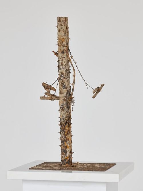 Katarzyna Szarek, Fundament