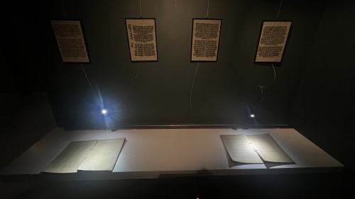 Laura Jammoul, Zawieszeni