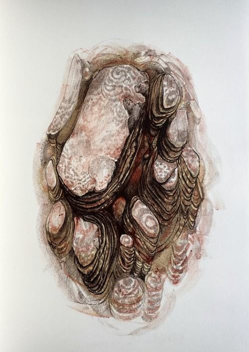 linn-prepsl linn-prepsl