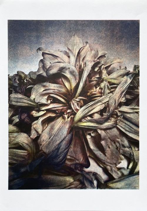 marianne-fagermo marianne-fagermo