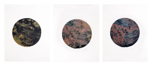 martine-gulliksen martine-gulliksen