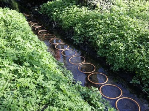 Obieg/Cirkulace Obieg/Cirkulace