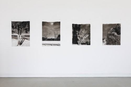 Otwarcie wystawy Świat bez nas w galerii Neon ASP Wrocław