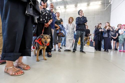 Galeria Neon ASP Wrocław - otwarcie wystawy XV FWT