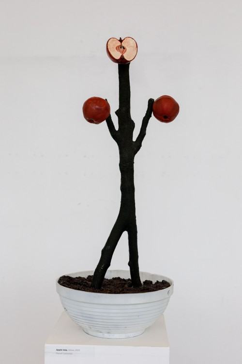 Galeria Neon ASP Wrocław - otwarcie wystawy XV FWT