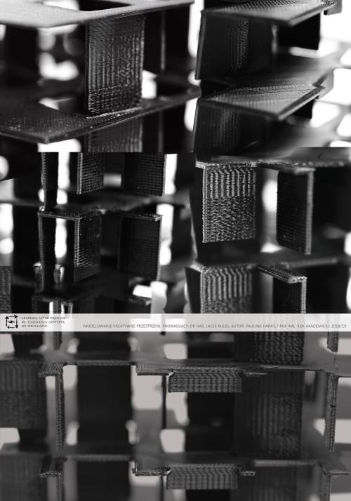 Paulina Haraś, od 2D do 3D, zdj. Paulina Haraś
