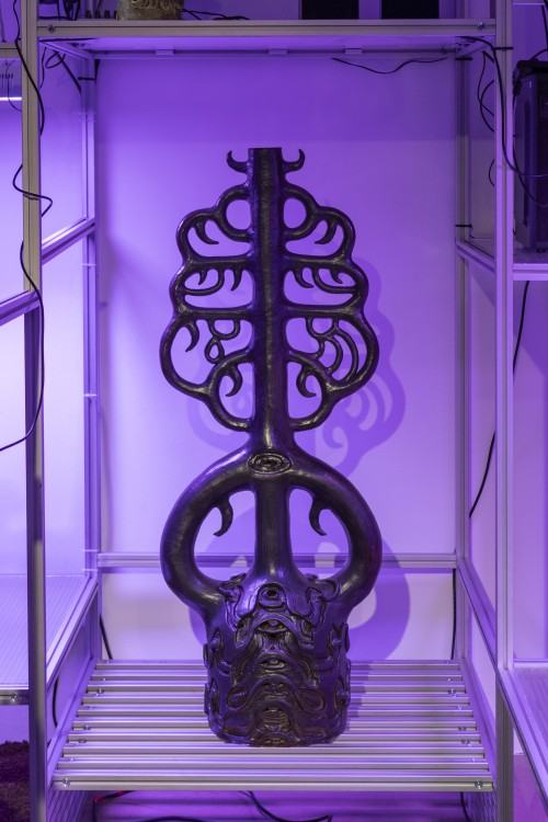 plantifictions_phd_pabloramirezgonzalez