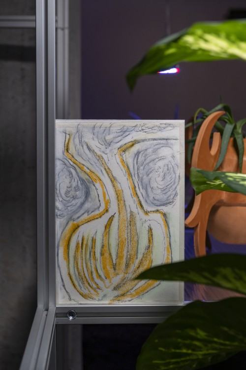 plantifictions_phd_pabloramirezgonzalez