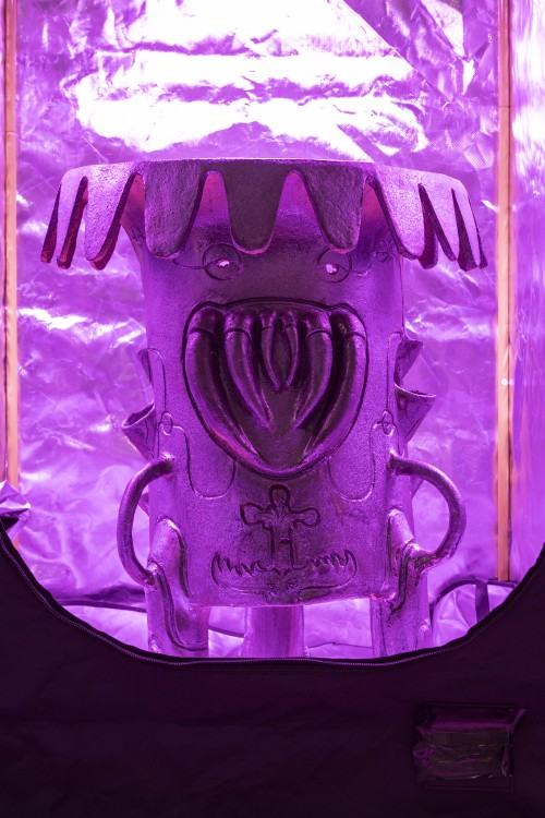 plantifictions_phd_pabloramirezgonzalez