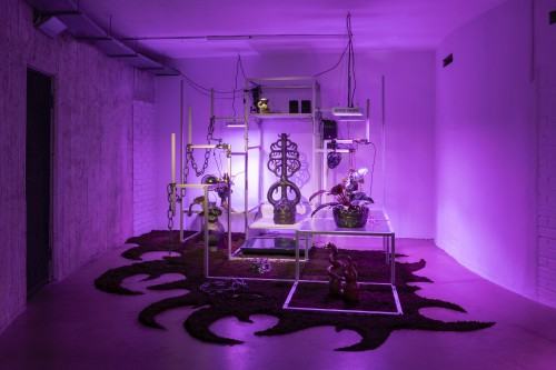 plantifictions_phd_pabloramirezgonzalez