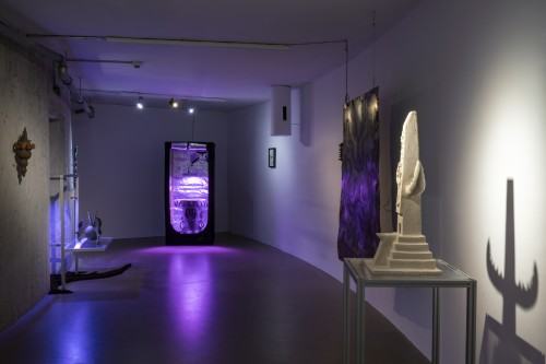 plantifictions_phd_pabloramirezgonzalez