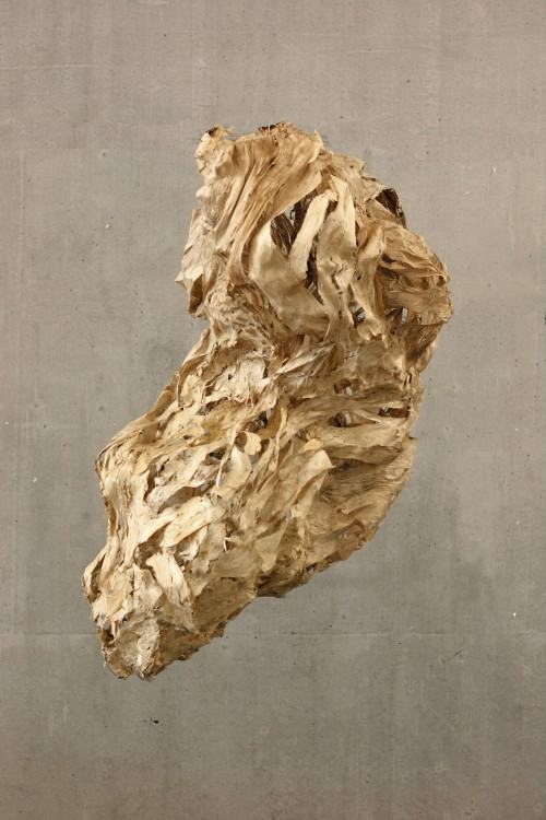 Proof of absence, Dokudowicz