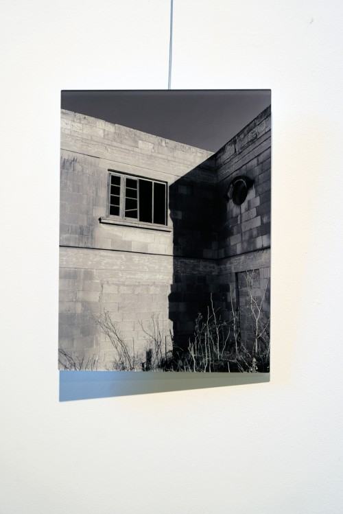 Silent Landscapes, fot. M. Sienkiewicz Silent Landscapes, fot. M. Sienkiewicz