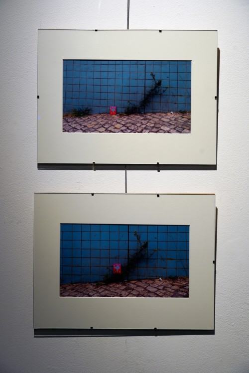 Silent Landscapes, fot. M. Sienkiewicz Silent Landscapes, fot. M. Sienkiewicz