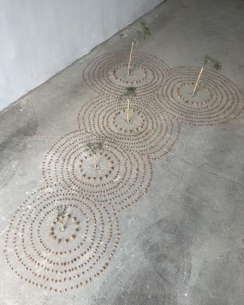 Stefania M.Jankowiak-Kręgi sagittae Stefania M.Jankowiak-Kręgi sagittae