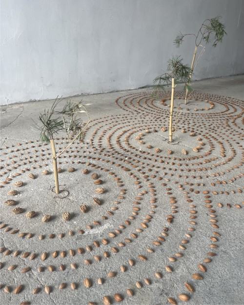 Stefania M.Jankowiak-Kręgi sagittae Stefania M.Jankowiak-Kręgi sagittae