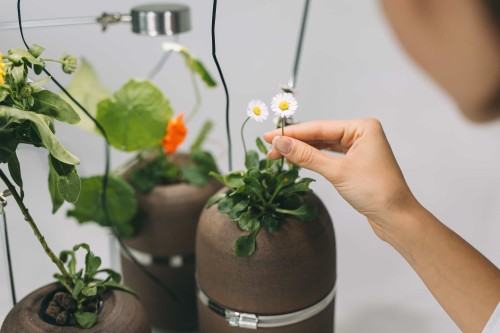 Upublicznienie pracy doktorskiej Barbary Stelmachowskiej, zdj. Jerzy Wypycyh