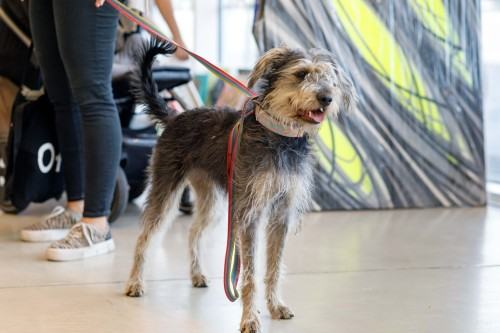 Pierwsze Targi Malarstwa