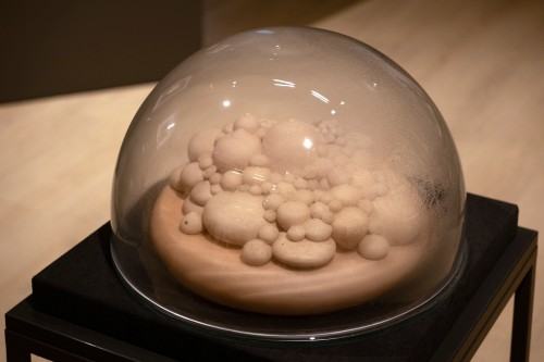 Terytoria Ziemi Ulro