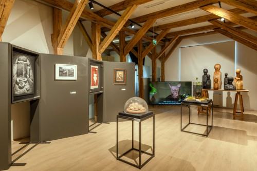 Terytoria Ziemi Ulro