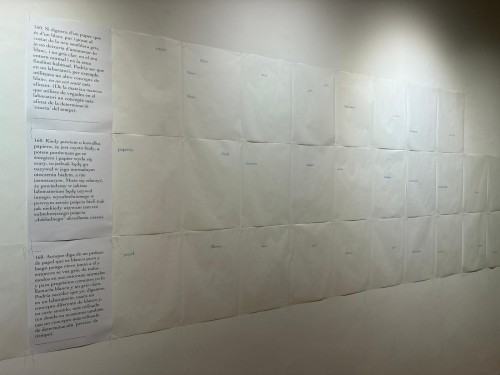 Eugènia Agustí „Soie et Carbone. Papier i Grafit. Pokazać niewidzialne”