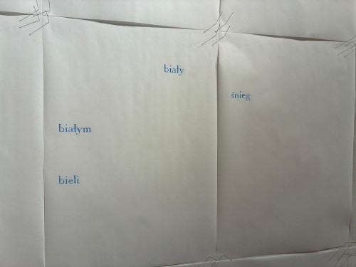 Eugènia Agustí „Soie et Carbone. Papier i Grafit. Pokazać niewidzialne”