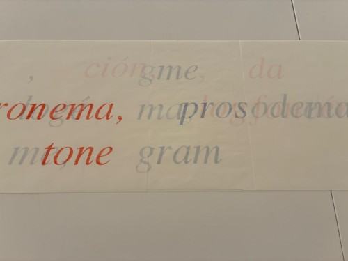Eugènia Agustí „Soie et Carbone. Papier i Grafit. Pokazać niewidzialne”