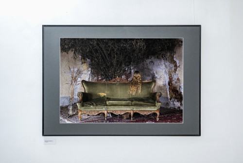 Wystawa De Rerum Natura | O naturze rzeczy