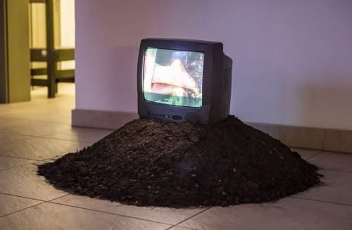 Wystawa De Rerum Natura | O naturze rzeczy