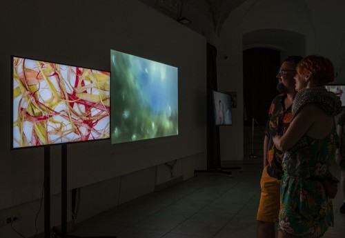 Wystawa De Rerum Natura | O naturze rzeczy