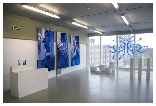 Praca dyplomowa Alicji Domańskiej