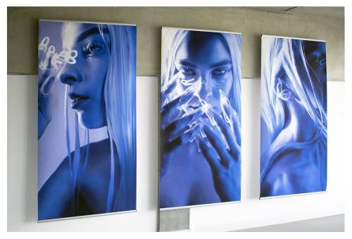 Praca dyplomowa Alicji Domańskiej