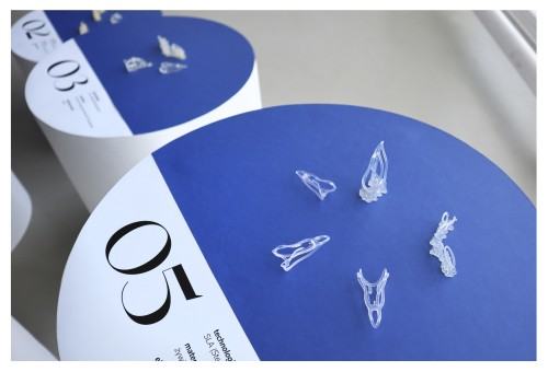 Praca dyplomowa Alicji Domańskiej