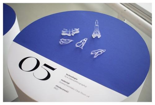 Praca dyplomowa Alicji Domańskiej