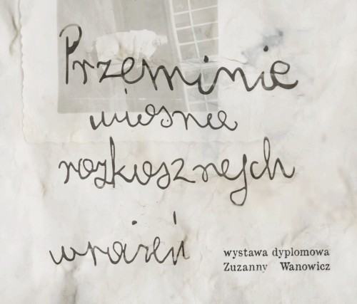 zdjęcie 