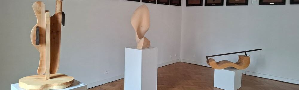 Exhibitio lignea